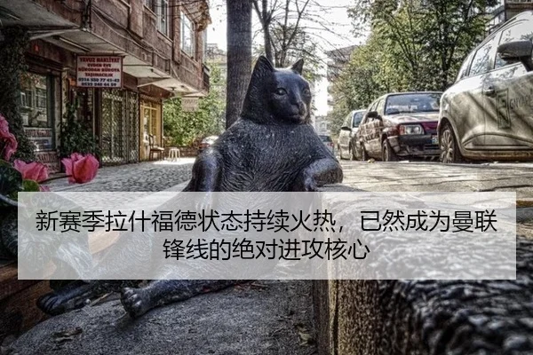 xin-sai-ji-la-shen-fu-de-zhuang-tai-chi-xu-huo-re-yi-ran-cheng-wei-man-lian-feng-xian-de-jue-dui-jin-gong-he-xin-3-104.jpg